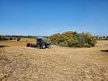Gleaner combine harvest.jpg