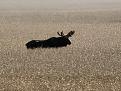 IMG_7408.jpg