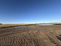 IMG_7501.jpg