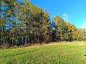 IMG_20260927_182743_331.jpg
