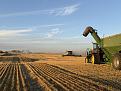 IMG_7729.jpg