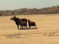 IMG_7892.jpg