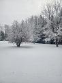 20261028_084051.jpg